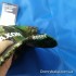 Бейсболка з ліхтариком Jaxon (9996315)