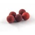 Бойл Tandem Baits Euro Boilies Мотиль16mm 5шт (9992246)