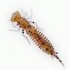 Силікон Fanatik Larva 2 "колір 003 8шт (9993004)