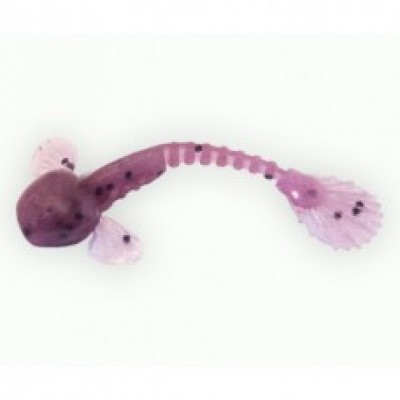 Силікон Fanatik Goby 3.5 "колір 021 5шт (9993449)