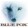 Blue Fox