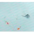 Снасть для лову пеленгаса 1метр 2 гачка з поплавками + вантаж ракета 110гр (9996066)