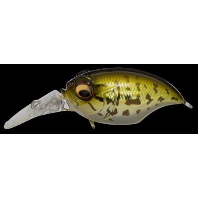 Воблер MEGABASS NEW MR-X GRIFFON колір GG BASS 7гр 43мм Floating (27524)