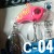 c04