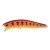Fishycat Fire Tiger