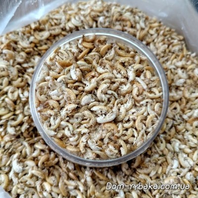 Гаммарус сухой (9996761)