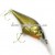 FD7-S-BGD (1096648)
