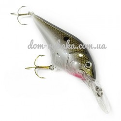 FD7-S-TNS (1096654)