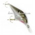 Воблер Berkley Diver Shallow  7cm 2m Float FD7 (109667100)