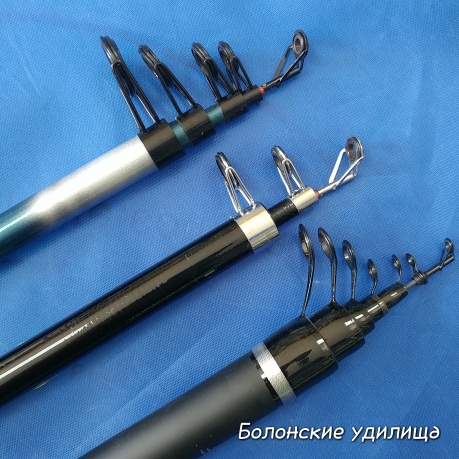 Удочка болонская